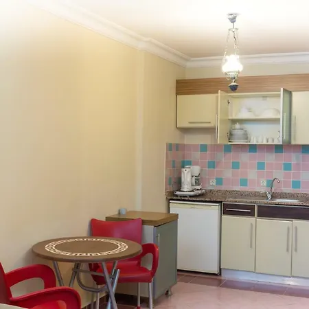 Erkaptan Apart 알란야